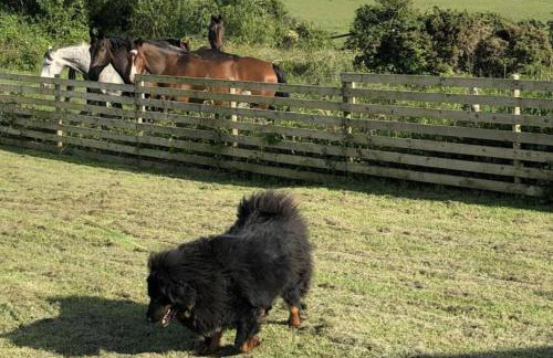 Captivating 2-bed Static Caravan on Private Land - Foto 49