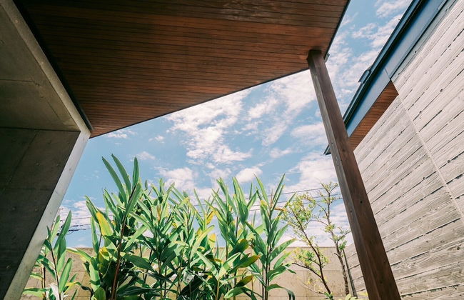 tanegashimaArakibekkan - Foto 53