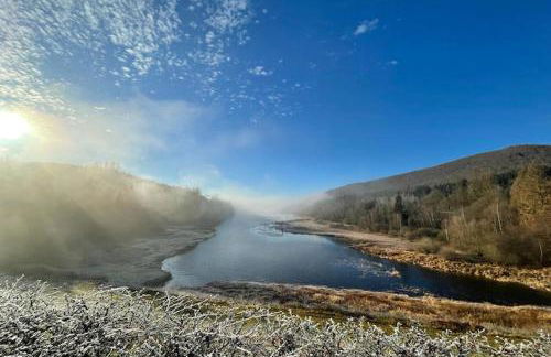 Charmante Harzer Doppelhaushalfte - Foto 45