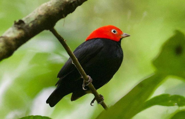 Ballena Bay, Casa Mar Azul - Foto 25