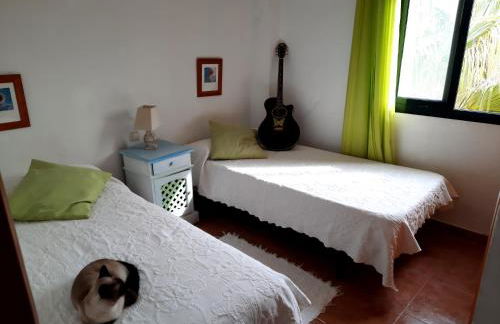 AIRUNNES Atico duplex Zahara primera linea - Photo 8