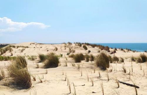 Maison 4 pers avec terrasse - La Palmyre - FR-1-705-57 - Foto 18