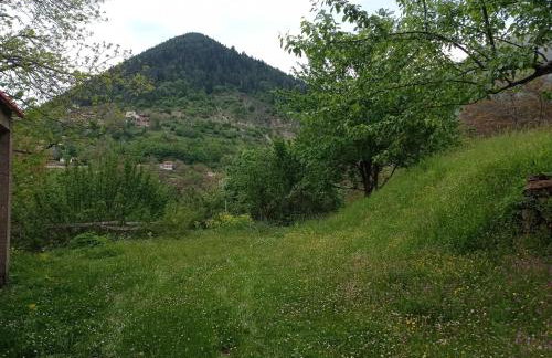 Krania House #Petrilo #Argithea #Agrafa - Photo 21