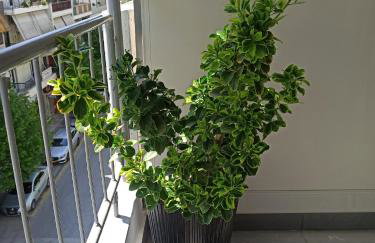 Sodi Cozy apartment - Foto 28