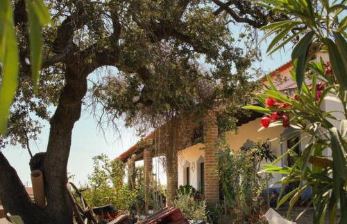 Aproveite o sabor do Alentejo - Foto 11