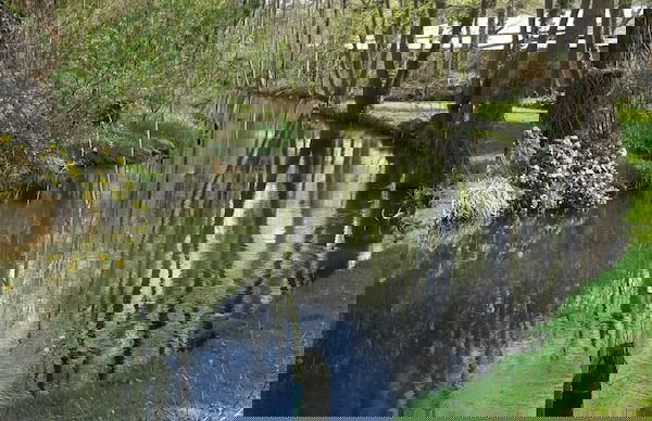 Markgrafenmühle - Foto 14