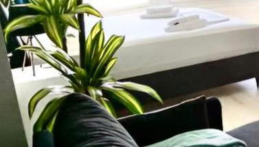 JSH Studio Benidorm Primera Linea - Foto 3