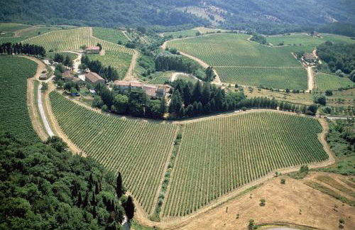 Castello Pomino - Foto 12