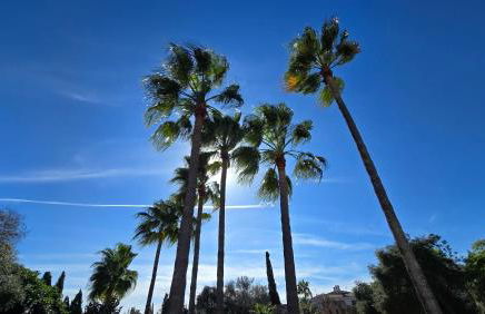 Castell Villa Bohío Mallorca - Foto 27