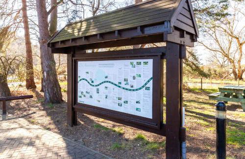 Beechcroft - Norfolk Cottage Agency - Photo 10