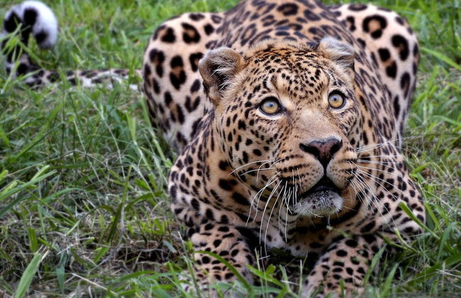 Stylish Holiday Home in Malmedy With Garden - Foto 26