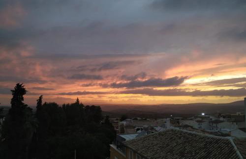 Placeta Boutique - Foto 28