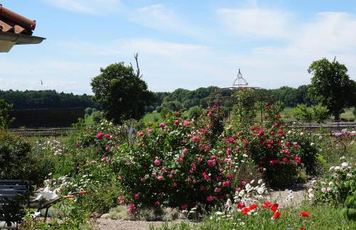 Gut Alt Farpen Ferienwohnung 2 - Foto 11