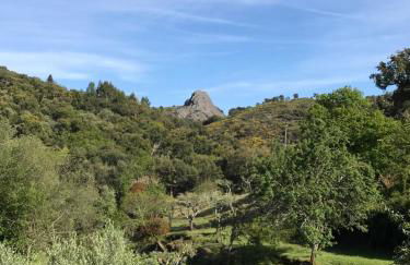 Azeite de Marvão, Olivoturismo casa Mestre do Lagar - Foto 20