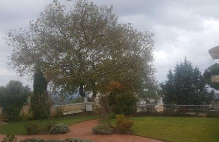 Guesthouse Michobeis - Foto 38