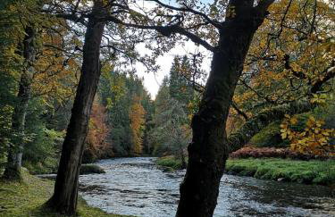Mike's 3-bedroom Countryside Cottage - Foto 53
