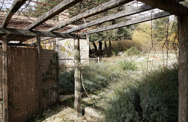 Agriturismo Surripa - Foto 15