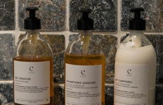 Le Domaine des Ormeaux - Foto 22