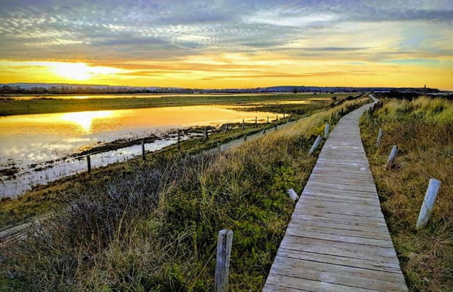 Holiday Complex Schuldt, Behrensdorf - Foto 76