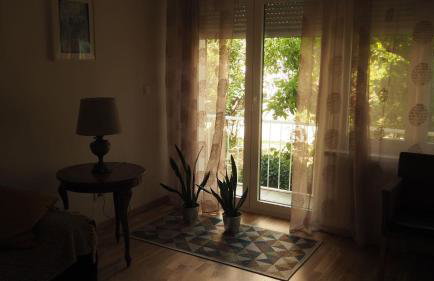 Little cherry - Photo 10