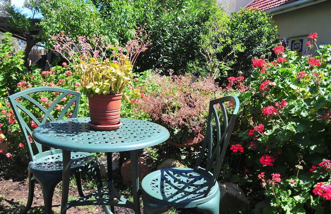 Bradclin House - Foto 60