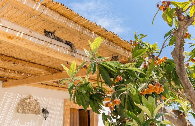 Authentic Sicilian Charm With Pool, Sea View, Parking & Wifi - Foto 66