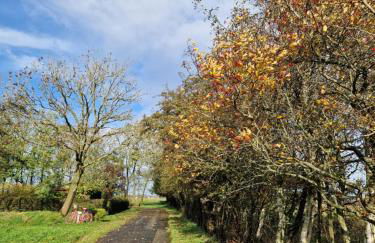 Ferienwohnung Sort Sol Grellsbülldeich 7 - Foto 44