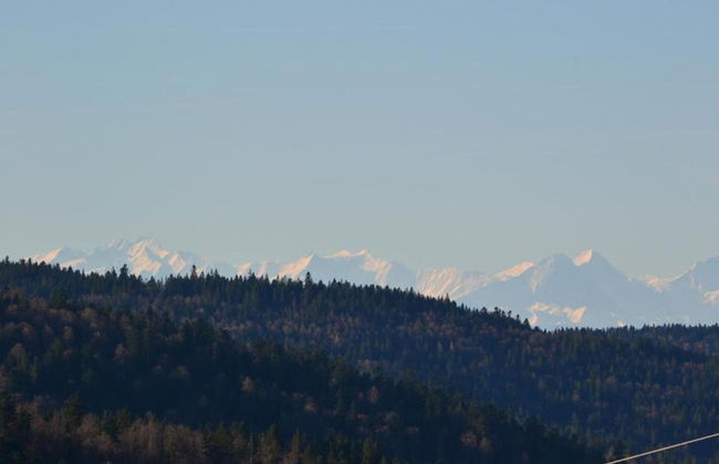Ferienwohnung in Todtmoos - Photo 33