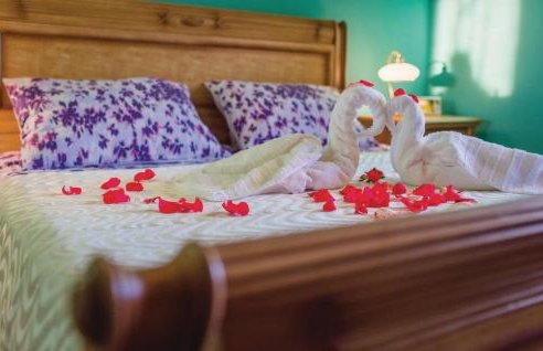 House Back to nature - Foto 22