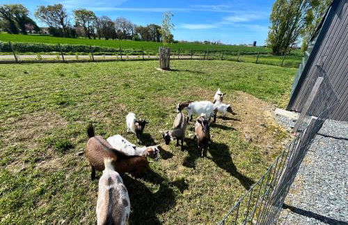 Gîte Marie entre Frehel et Erquy 3 chambres - Foto 18