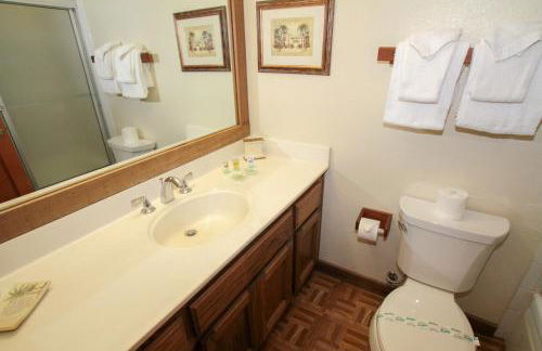 Mountainback 12 2 Bdrm 3 Ba Loft - Pet Ok - Foto 10