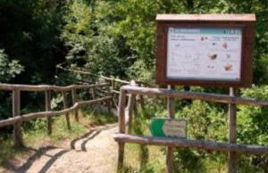 Casa di Emilia - Foto 38