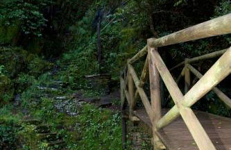 Piódão Casa do Rosmaninho TER - Foto 7