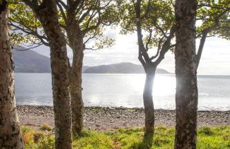 Ash, Birch and Rowan Self Catering Cabins - Photo 38