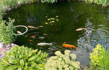 Dom letni Słoneczny Taras - Foto 21