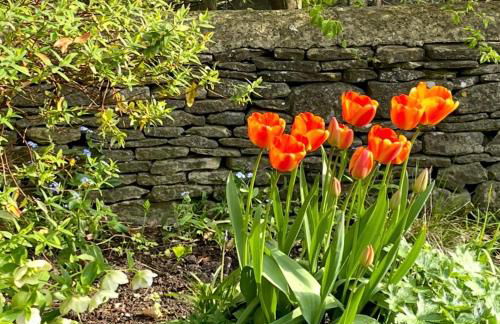 Pretty Cotswold Cottage with garden near Bibury - Foto 35