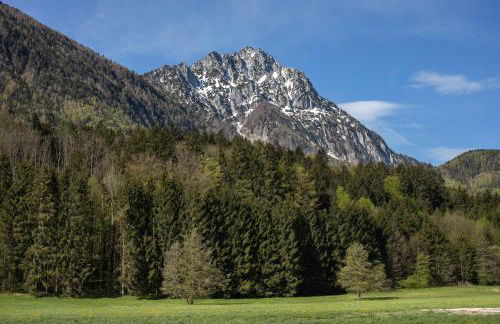 Ferienwohnung Nagerlhof - Foto 20