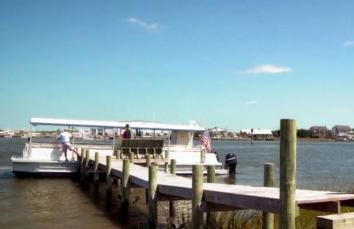 Your Private Island | Eco-Glamping | NC Coast - Foto 14