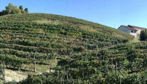 Casa Vacanze LILIANA - Foto 3