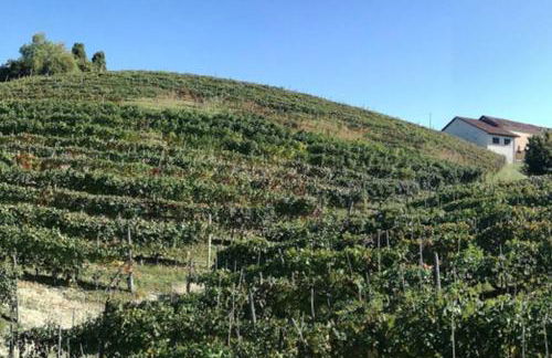 Casa Vacanze LILIANA - Foto 3