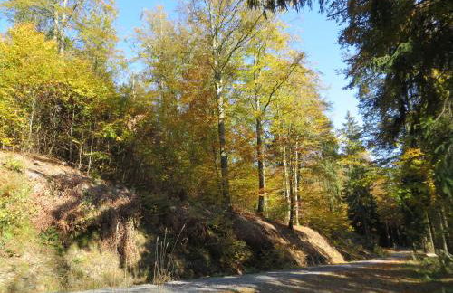 Ferienwohnungen Breternitz - Photo 12