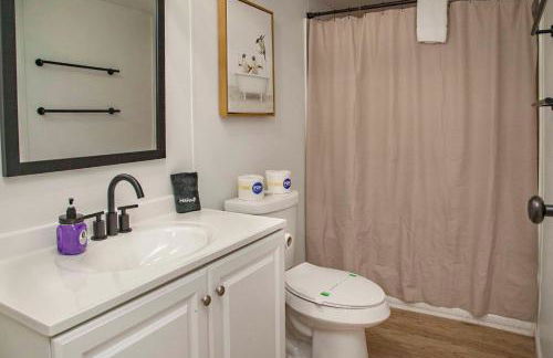 Purple Parrot - Foto 16