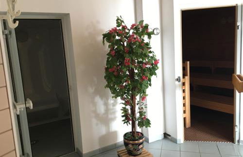 Ferienappartements Rausch - Foto 37