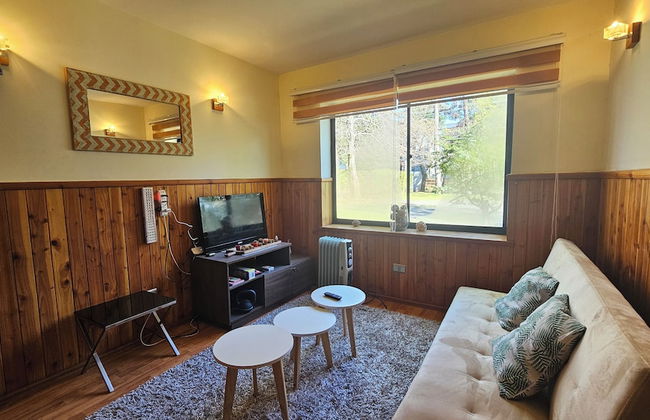 Oceana Suites Parque Suizo - Foto 11