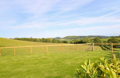 Defaid Cymreig - Foto 28