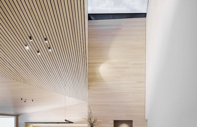 Peterhof Chalets - Foto 1