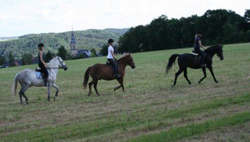 Pferd - Spaß - Entspannung - Foto 2