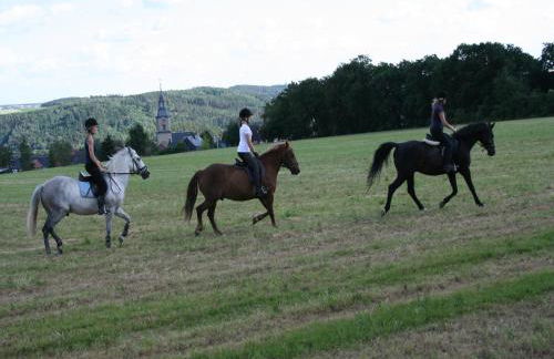 Pferd - Spaß - Entspannung - Foto 2