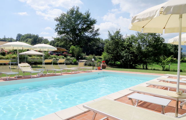 Alighiero II - Foto 8