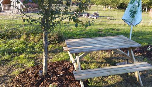 DDR Wohnwagen QEK AERO - Photo 5, Garden